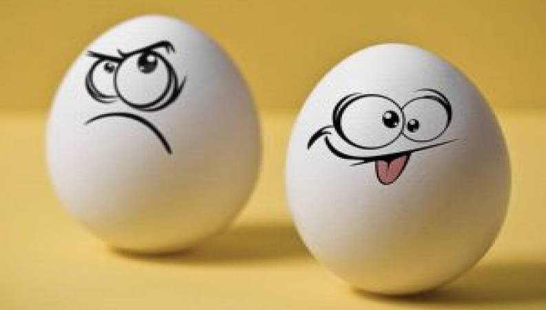 هردمبیل قسمت 15 ام