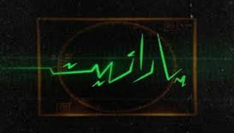 پارازیت ها در تور دولت