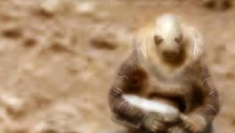 آدم فضایی ها در آسمان برزیل