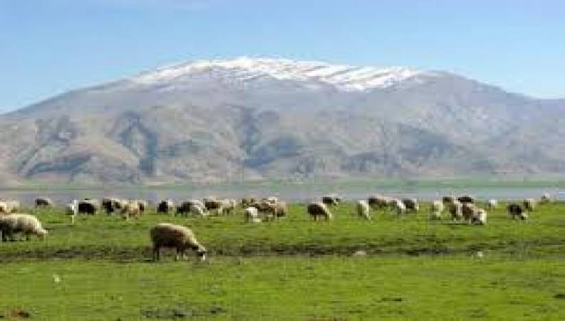 تالاب میانگران رو به خشک شدن