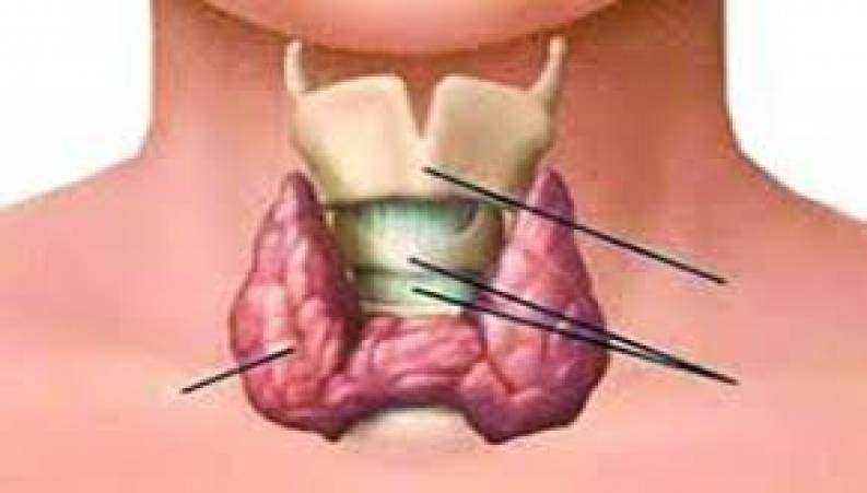 کم کاری و پرکاری تیروئید را بشناسیم