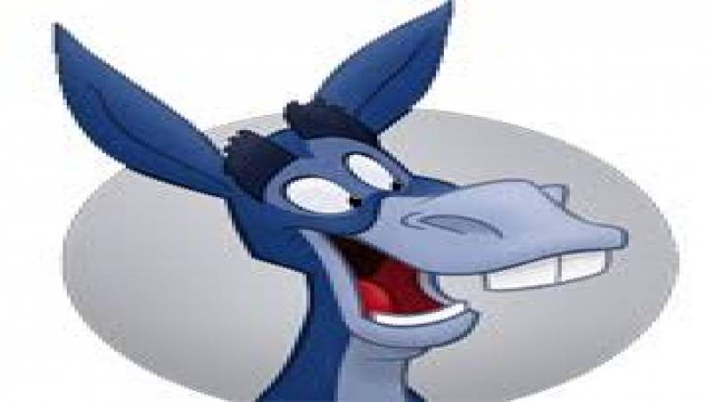 الاغ سواری چاق ها در یونان تااطلاع ثانوی تعطیل