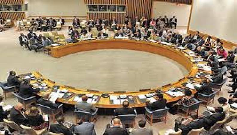 کوچکترین مهمان سازمان ملل