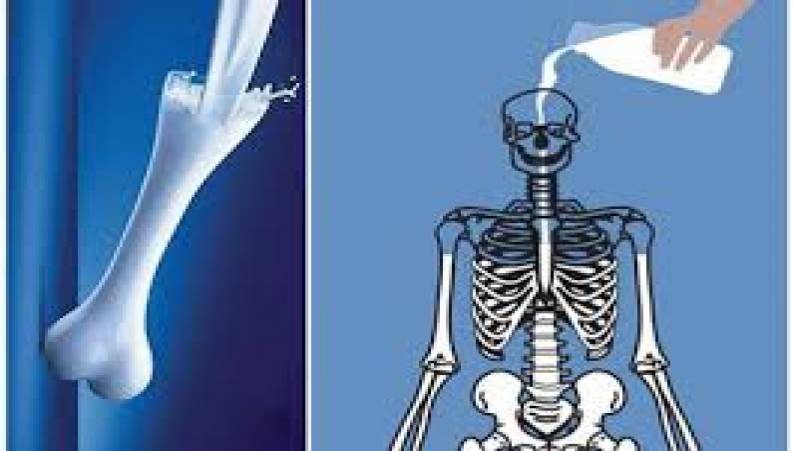 آیا استخوان در خارج از بدن هم قابلیت رشد را دارد؟