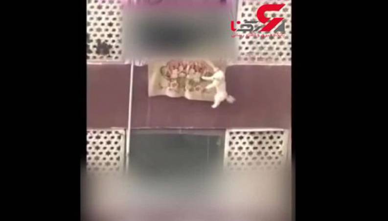 سگ آزاری بیرحمانه یک زن تهرانی در شهرک بهشتی