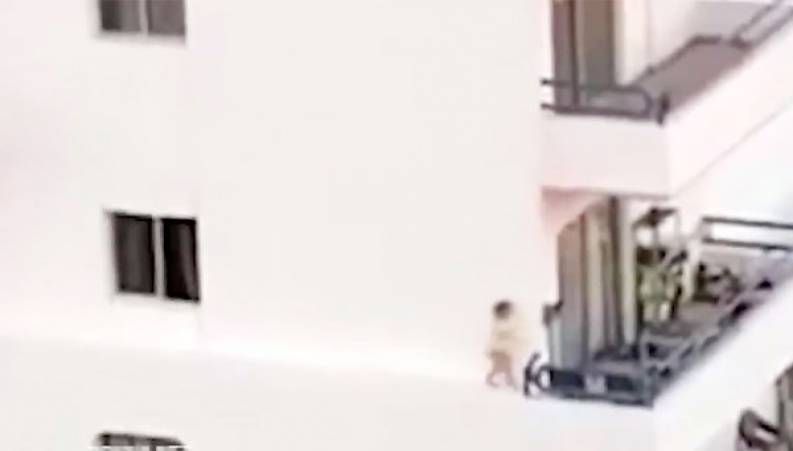 وحشت مردم از یک فیلم واقعی شما هم ببینید 