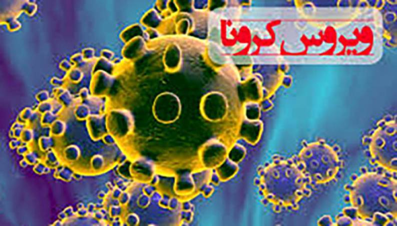 ضدعفونی کردن جالب خیابان‌های چین از ترس ویروس کرونا