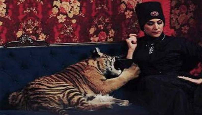 همبازی شدن ویشکا آسایش با یک ببر در سریال دراکولا