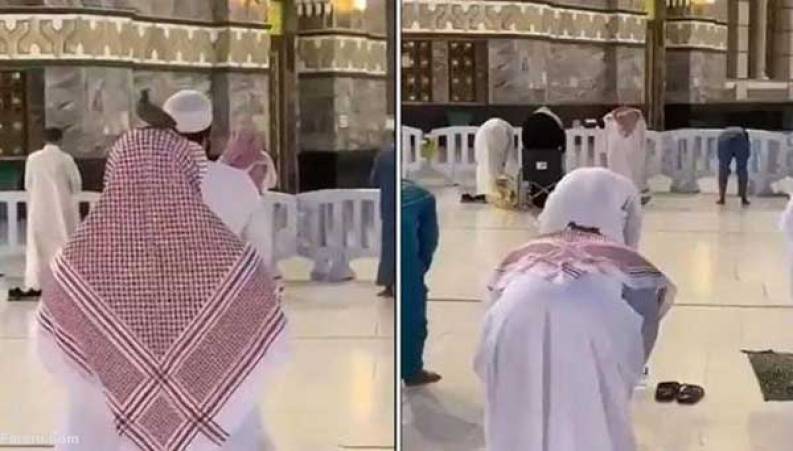 نشستن یک کبوتر روی سر نمازگزار در خانه خدا 