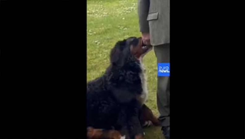 شیطنت جالب یک سگ هنگام مصاحبه رئیس جمهور !