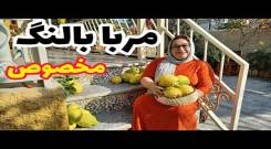 طرز تهیه مربای بالنگ