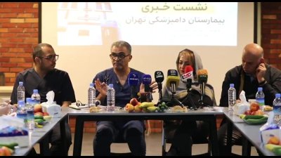 چرا تهران پر از روباه شده است؟ / هشدار جدی درباره مخزن هاری + فیلم