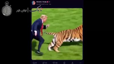 واکنش عجیب ترامپ به ویدیوی هوش مصنوعی ببر و مرگ در باغ‌وحش | ویدیوی عجیب ترامپ با ببر |…