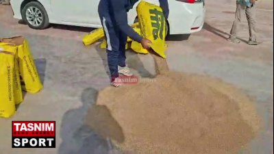 شروع عملیات کاشت چمن هیبریدی در ورزشگاه آزادی؛ تکمیل نهایی زمین فوتبال