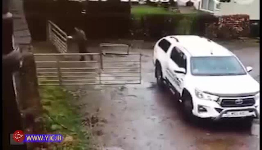 چالش درب پارکینگ این زن را کلافه کرد