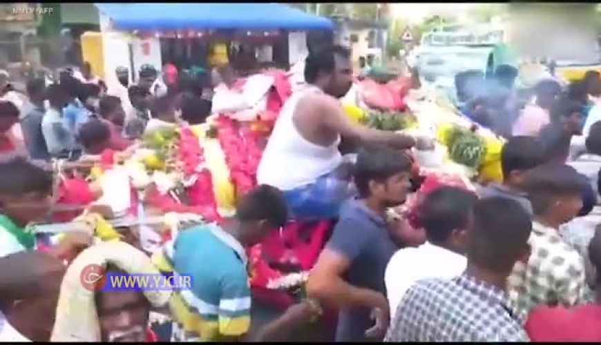 شکستن قرنطینه برای شرکت در مراسم تشییع جسد گاو