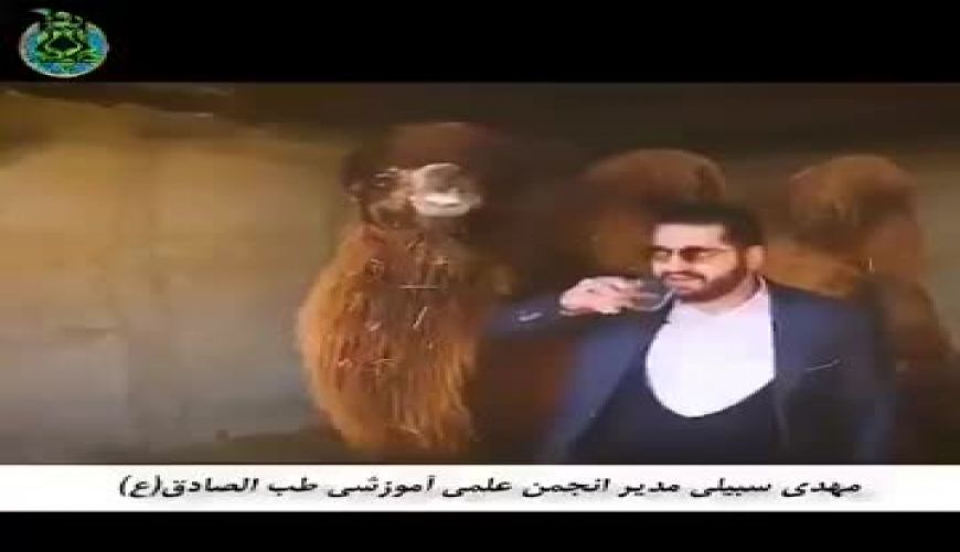 نوشیدن ادرار شتر، تازه‌ترین تجویز برای درمان کرونا 