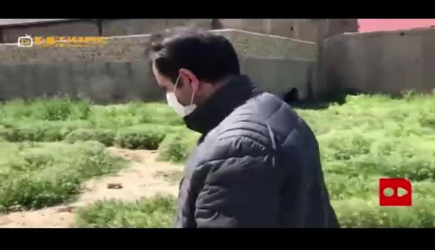 تصاویری عجیب از زندگی زیرزمینی معتادان در تهران