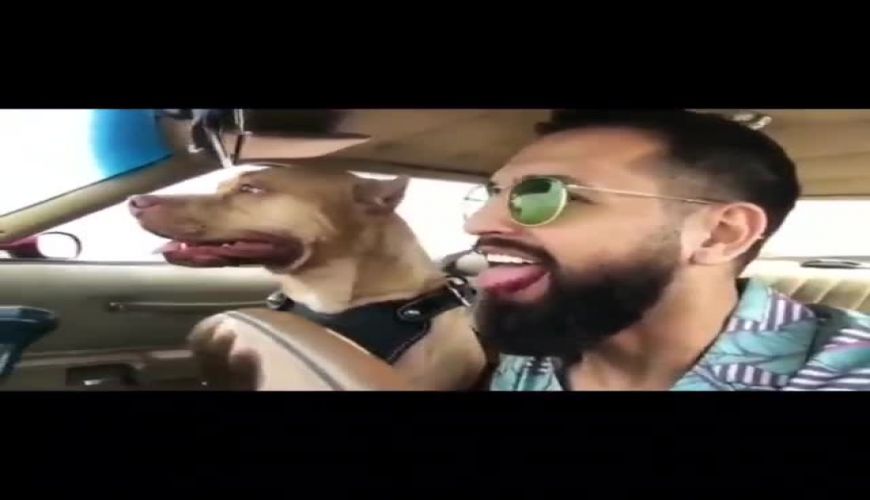 ویدیویی از رفتار عجیب محسن افشانی در فضای مجازی