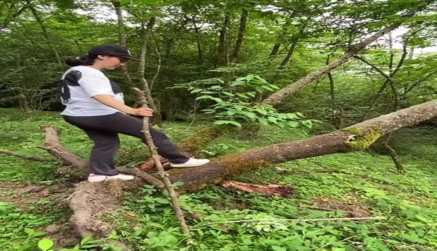 هنرنمایی نیلوفر استخری و پرت شدن از درخت در کنار دوستان