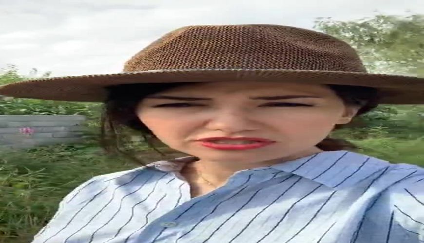 لایو نیلوفر استخری از شمال کشور در سواحل تنکابن