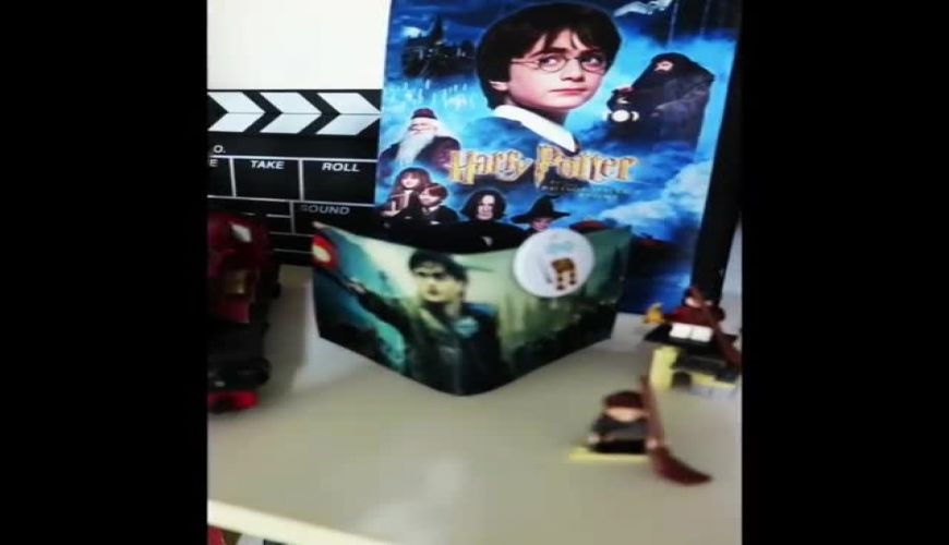 ویدیویی که هانیه غلامی از کتابخانه شخصی و ممنوعه اش منتشر کرد