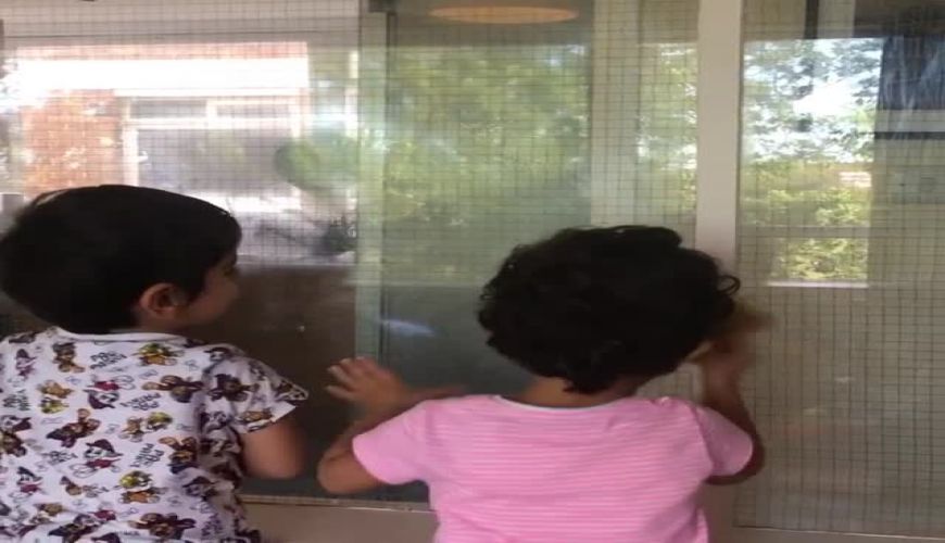 تمیز کاری دو قلوهای فلامک جنیدی در منزل 