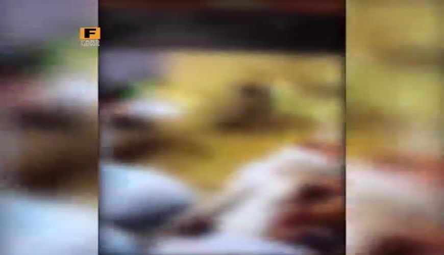 ماجرای شایعه قاچاق اعضای بدن بیماران کرونایی