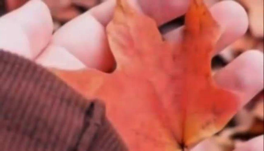 تولد 40 سالگی سید بشیر داور جنجالی عصر جدید