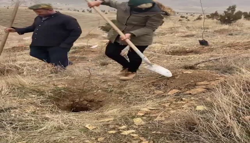 نهال کاشتن پریسا بختیاری به یاد همسر چترباز مرحومش محمد بزرگی