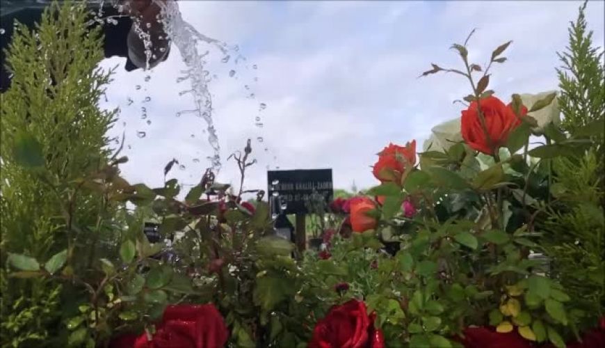 گلباران ابراهیم اشرفی بر مزار ماه چهره خلیلی در سالگرد درگذشت همسرش