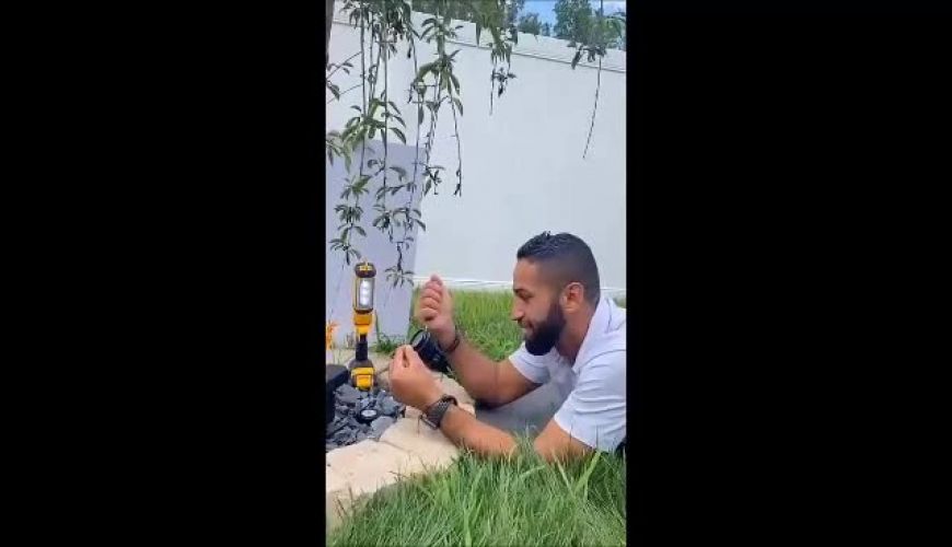 لحظات زیبای آب خوردن مورچه رو از نزدیک ببینید