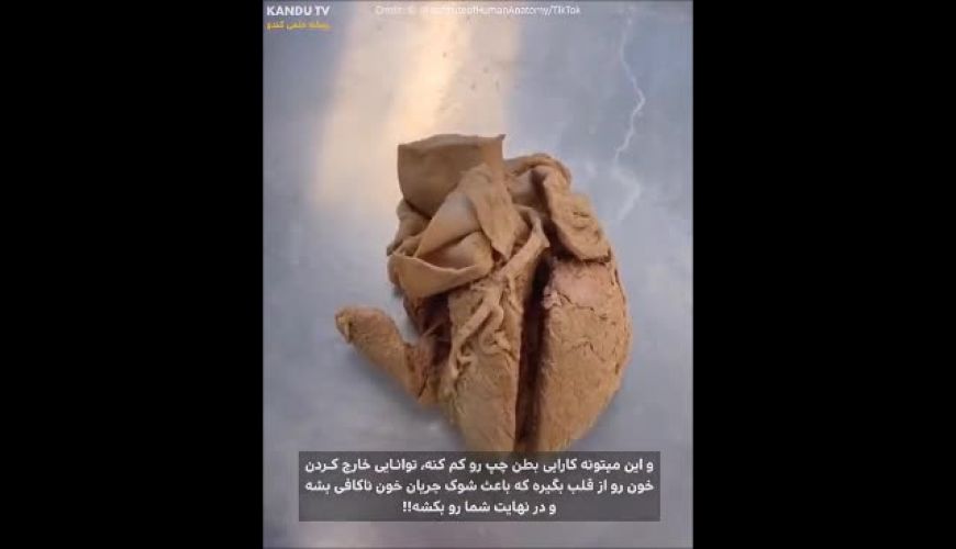 ما می‌توانیم واقعا از شکستگی قلب بمیریم !!