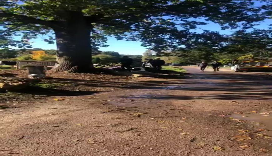 طراحی زیبا نام زنده یاد ماه چهره خلیلی بر مزارش