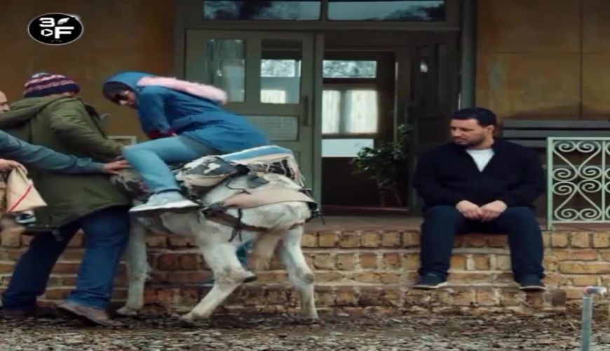 خر سواری هانیه توسلی