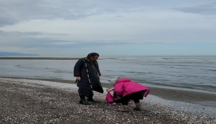 پرستو صالحی خبر جدایی حدیث فولادوند از همسرش را استوری کرد