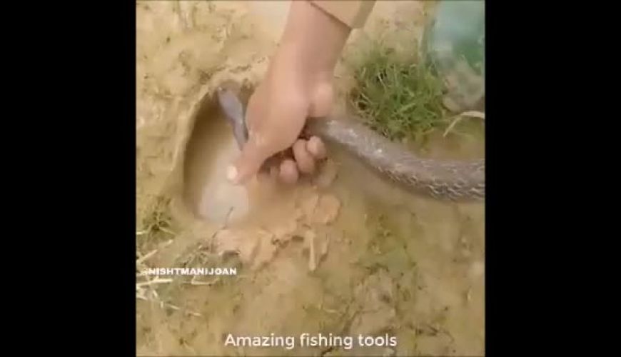 ماری که در تامین معیشت خانواده به کشاورز کمک می‌کند