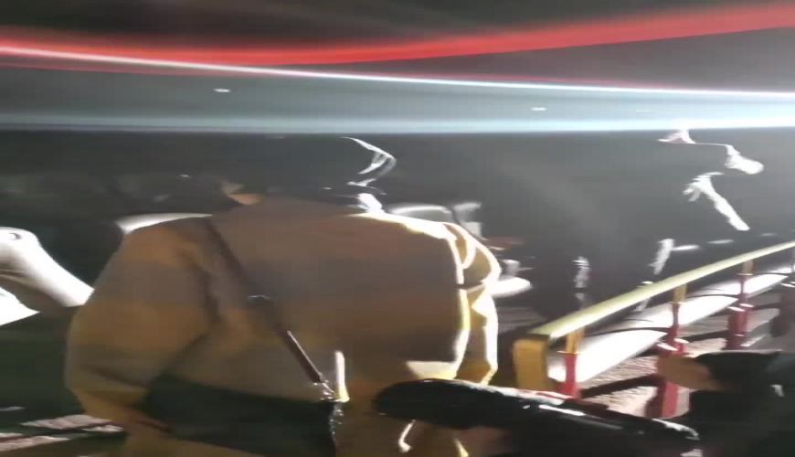 لحظه ورود نیکی کریمی به جشنواره برلین و کف زدن ممتد حضار