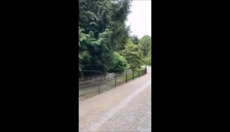 سفر حدیث چهره آزاد به  مناطق سر سبز سنگال 