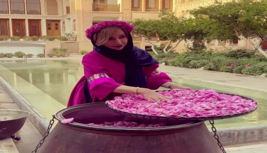 گلاب گیری شبنم قلی خانی در کاشان 