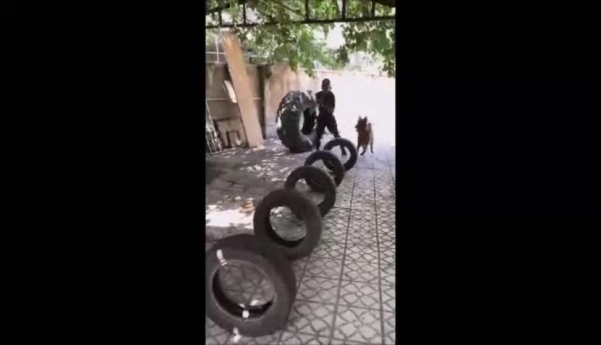 شوکه شدن کاربران از مهارت ورزشی  تینا آخوندتبار بازیگر