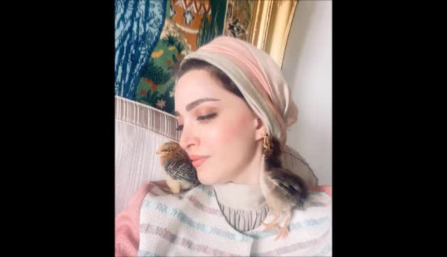 قسمت هایی از دکوراسیون زیبای خانه «بهنوش طباطبایی» بازیگر و استاد دانشگاه