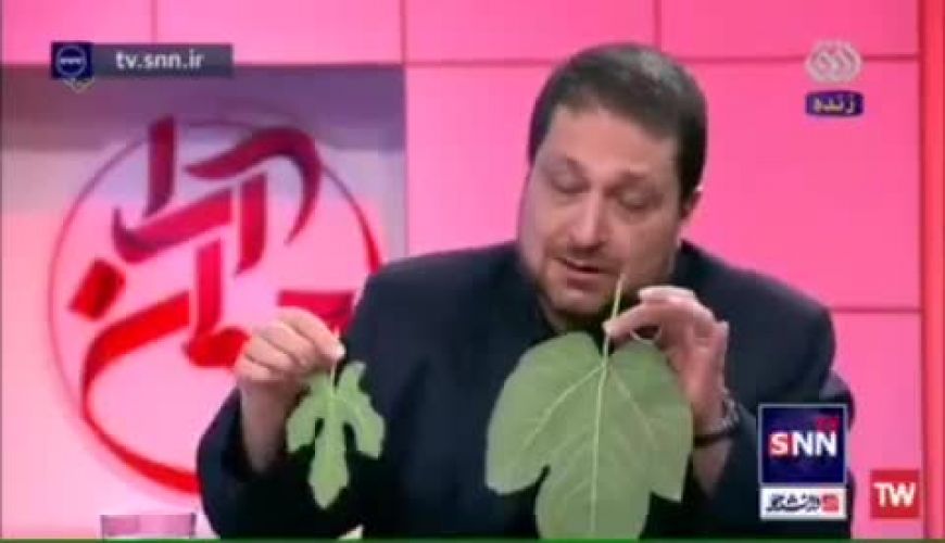 صحبت های جنجالی استاد دانشگاه درباره پوشش روی آنتن زنده سیما