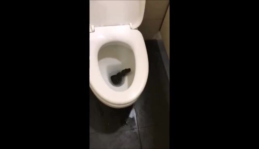 چیزی نیس اومده یه دوش بگیره بره