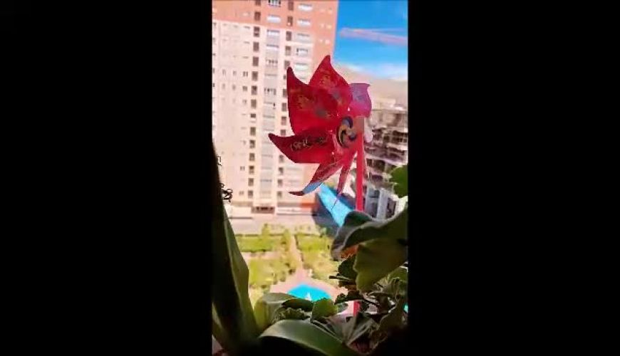 ترفند شیک و مجلسی صبا راد برای گلدانهای تراس خانه اش