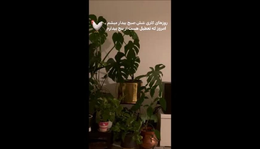 نمایی زیبا از خانه پدری سپیده بزمی پور در بلژیک