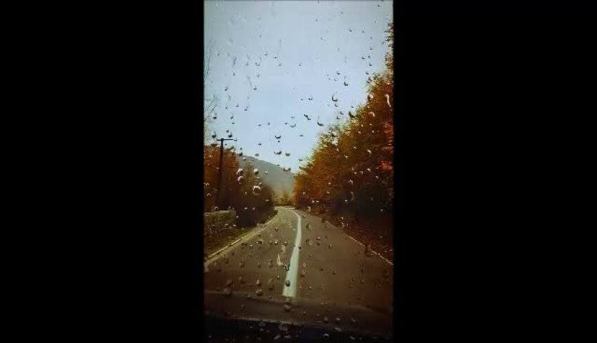 خداحافظی غمگین و پاییزی نعیمه نظام دوست برای مرحوم آرش میراحمدی