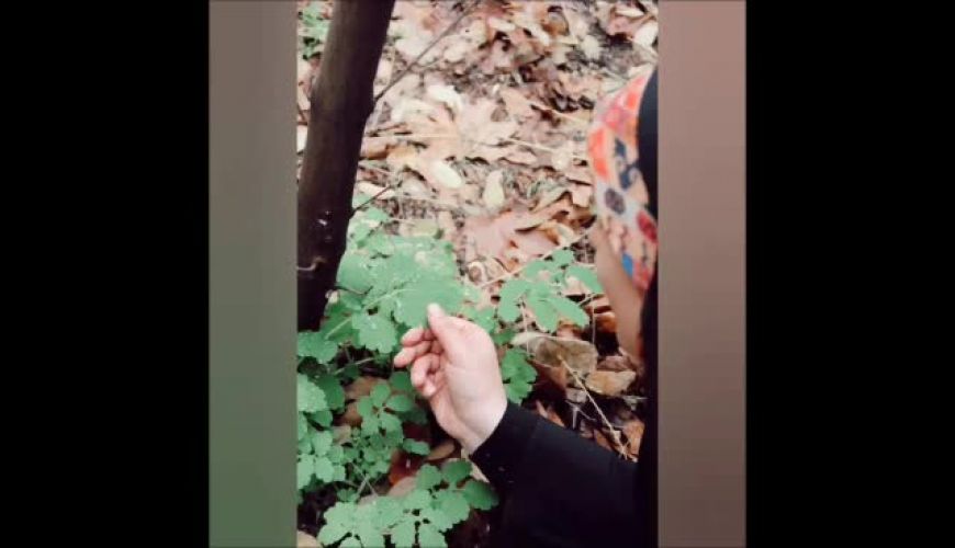 پست پاییزی و جذاب مونا اورعی مجری خبر تلویزیون با دکلمه زیبای باران نیکخواه