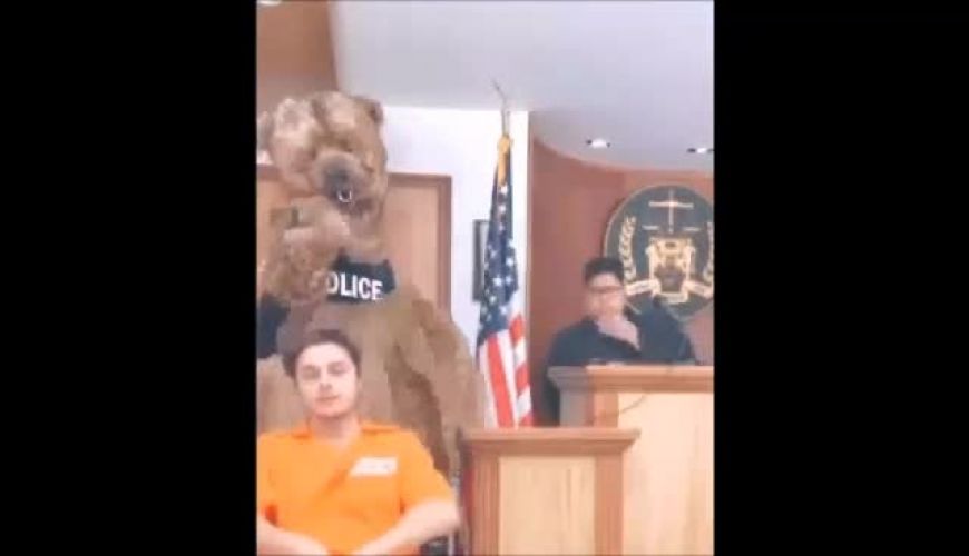 متهم به قاضی گفته که معلولم،  حرکت قاضی و مچ گیری خنده دار از متهم !