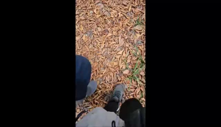 اولین پاییز زندگی آناهیتا همتی و همسرش در جنگلهای سواد کوه  شمال ایران